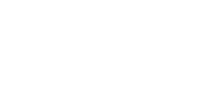 Savvy Logo